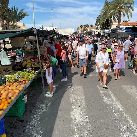 The House! Large Terrace And Bars! Traveller Awards 2024-2025