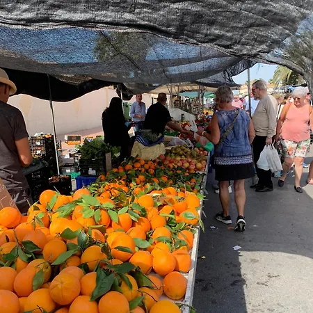 Appartamento The House! Large Terrace And Bars! Traveller Awards 2024-2025 Torrevieja